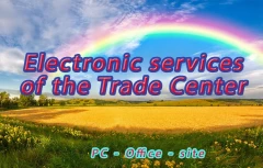 Electronic services of the shopping center